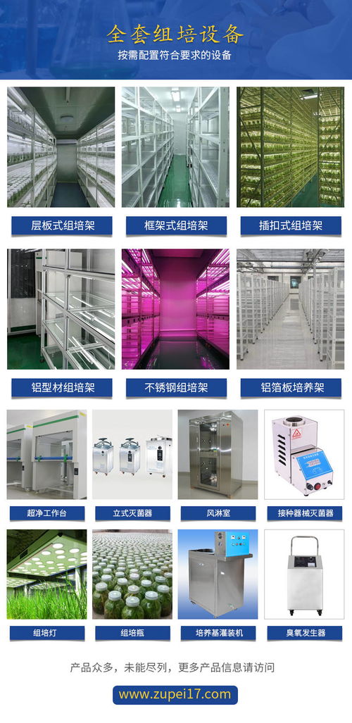組培架工廠定做