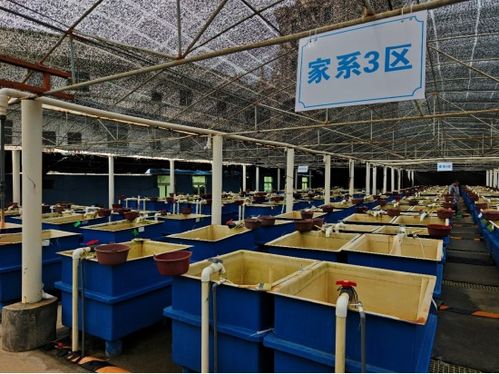廈門(mén)市海洋與水產(chǎn)學(xué)會(huì)海洋文化與科普專(zhuān)業(yè)委員會(huì)晉江圍頭調(diào)研